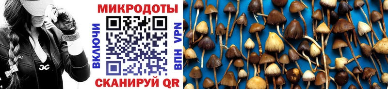 Купить закладки  Жирновск  Галлюциногенные грибы GOLDEN TEACHER 
